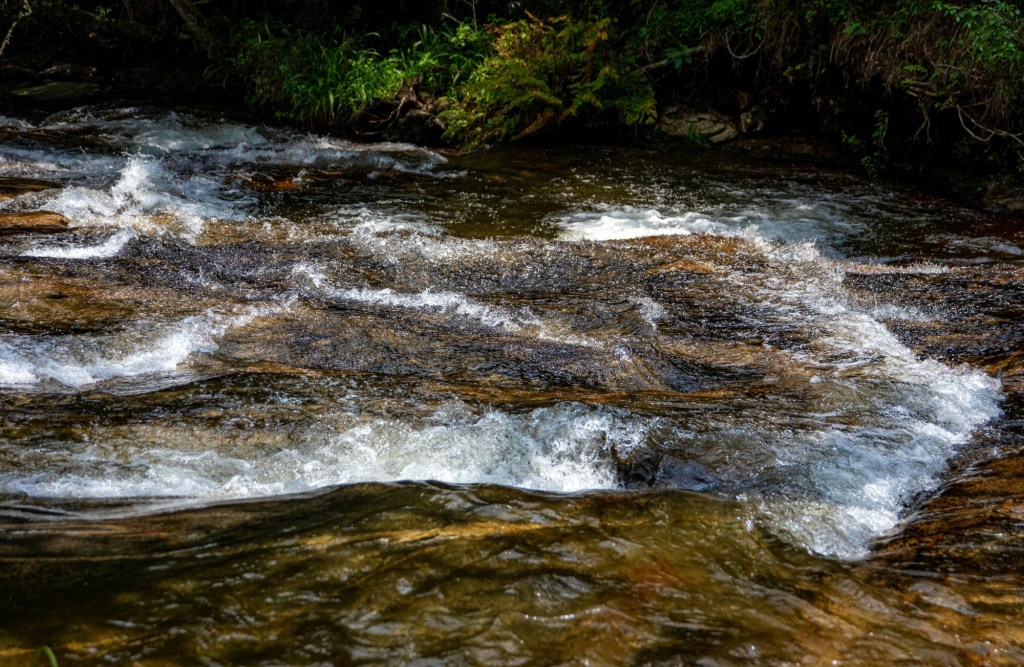 Water is flowing fast over rocks in the river bed. 